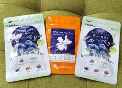 ブルーベリー
サプリメント
1ヶ月分 × 3袋