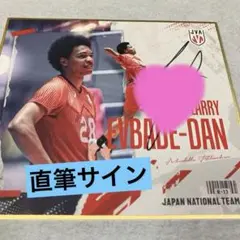 バレーボール男子日本代表mini色紙