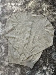 Item thumbnail for item aa75938a-4dc0-44db-ba34-ec81dca0bae7