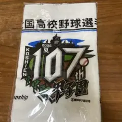 2025年甲子園107回大会 応援タオル