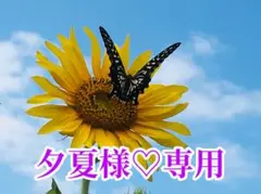 夕夏様❤️おまとめ専用ページです。8/27まで♡