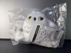 ヘドウィグ　カップスリーブ