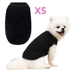 Item thumbnail for item 4244cef3-5938-483d-9018-acd83750247b