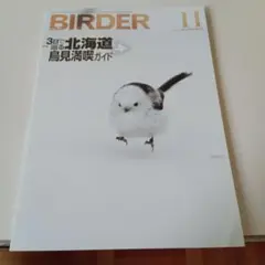 BIRDER 2022年11月号