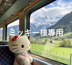 Item thumbnail for item 82de9325-e442-4a98-ac1f-e2bdde417535