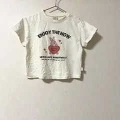 Item thumbnail for item 40718996-dbd8-47b7-9193-19cd2e21ca4b