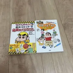 クレヨンしんちゃん 漫画2冊セット