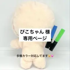 専用ページ