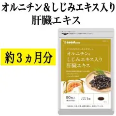 お酒をよく飲む方に!【オルニチン&しじみエキス入り肝臓エキス】約3ヶ月分