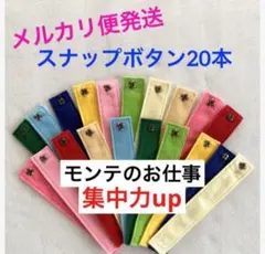 ボタン練習 スナップボタン20本セット モンテッソーリのお仕事 No.11/3