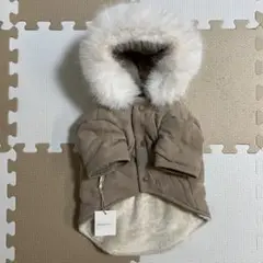 Item thumbnail for item 926bb156-e29c-442c-a523-504eef217586