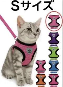 Item thumbnail for item c414f57d-e1a0-4f78-8e4f-290f4447c00e