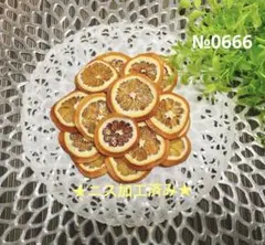 ドライオレンジ　ドライフルーツ　花材素材　№0666