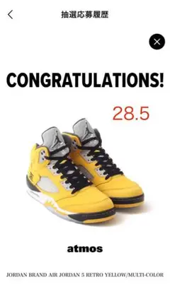 Nike Air Jordan 5 Retro "Tokyo 23" 2025