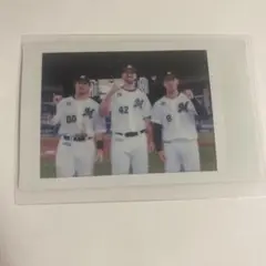 千葉ロッテマリーンズ 交流戦チェキ