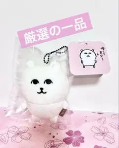 ナガノキャラクターズ ナガノのくま 優しく見守るマスコット ナガマ銀座 未開封