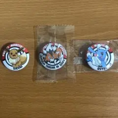 ポケモン 缶バッジ 3個セット