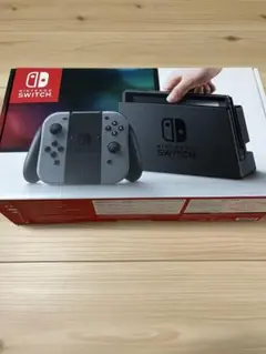 Nintendo Switch グレー 本体と付属品