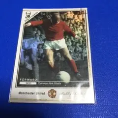 2002FIFA日韓ワールドカップ ボビー・チャールトンジャージ■24G0115 2002FIFA日韓ワールドカップ ボビー・チャールトンジャージ