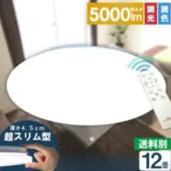 LEDシーリングライト12畳用直径45cm！調光調色超薄い4.5cmリモコン付き