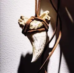 Item thumbnail for item 0f247481-edb6-4629-878e-1d45a6c1deff