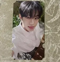 Item thumbnail for item c9108ccd-8ff6-4b30-ad58-750fe7f67c1d