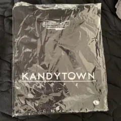 KANDYTOWN tシャツ