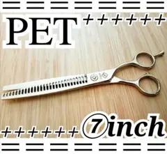 Item thumbnail for item a17d9358-fb28-418f-a64f-506c532b7d75