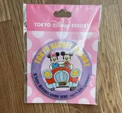 ディズニー　カンバッジ　［Where dreams come true］