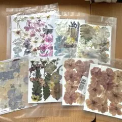 新品未使用❣️押し花セット（多色・淡色・薄色）6枚入り