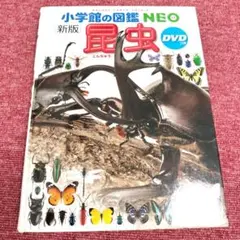 【美品】小学館の図鑑 NEO 新版「昆虫」★期間限定価格8月末まで★