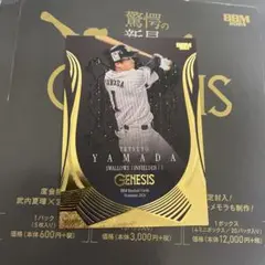 BBM 2024 GENESIS ジェネシス　ベースボールマガジン　山田哲人