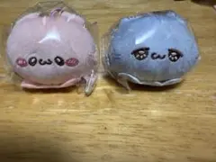らぶいーず　かぷっこふれんず2 ぴょんち/うるる