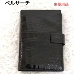 Item thumbnail for item 1c329a10-f4f7-4156-a987-876433c338e6