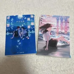 汐見夏衛 2冊セット