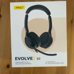 Item thumbnail for item 795e2589-c4fe-4a33-b0c5-7b8cbe3d9434