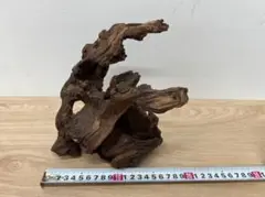 中型天然流木オブジェ／アクアリウム・インテリア素材 約28cm 一点物