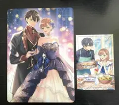 特典のみ　影の英雄の治癒係4 アニメイトTSUTAYA
