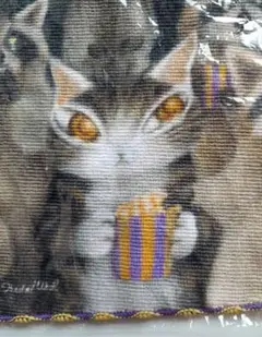 わちふぃーるど★ミニタオル★アライグマ