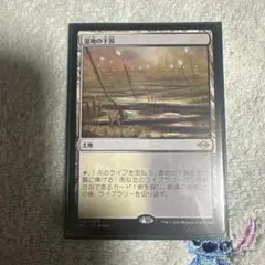 MTG MH2 湿地の干潟