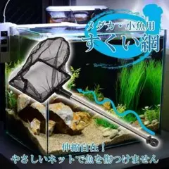 観賞魚用 伸縮ミニ網 メダカ シュリンプ 小型 熱帯魚用 フィッシュアミ