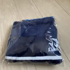 埼玉西武ライオンズ　ライオンズバック型ブランケット