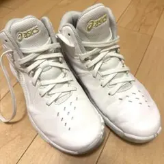 Item thumbnail for item 5c8ae99c-2a2f-40c9-ad2e-291788a46fef