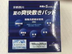 京都西川　アイスマックス　夏の爽快敷きパッド