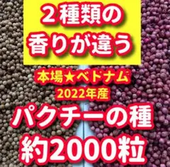 パクチーの種・各種10g【合計約2000粒】★違いを楽しむ、本場ベトナム産