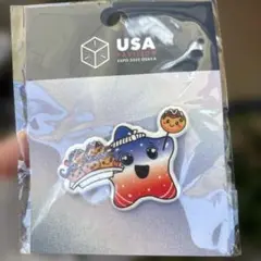 関西万博　アメリカ館　マグネット