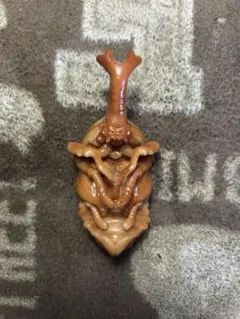 いきもの大図鑑　ヤマトカブトムシ 蛹