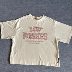 女児Tシャツ 150サイズ