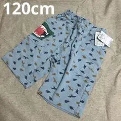 【新品】恐竜の柄のパンツ♡120cm