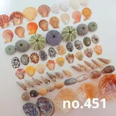 no.451 ウニ殻と天然ミニ貝殻 セット
